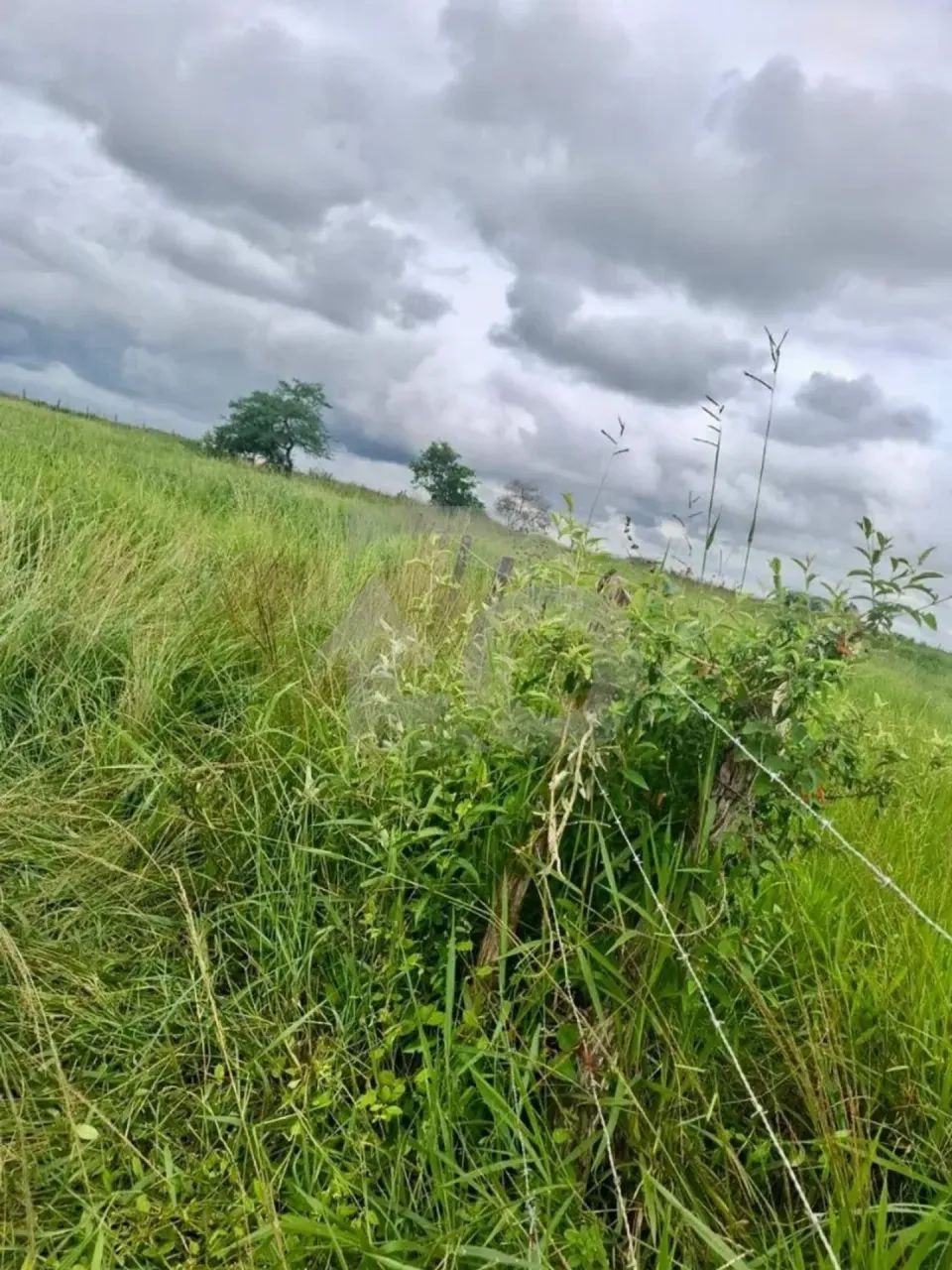 Terreno rural em Cumbe - 6000m². - Foto 4