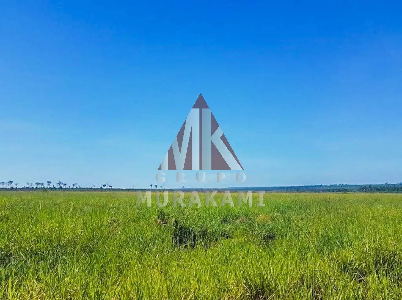 FAZENDA - PARANATINGA - MATO GROSSO