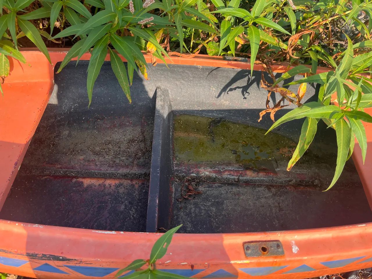 Barco - Foto 2