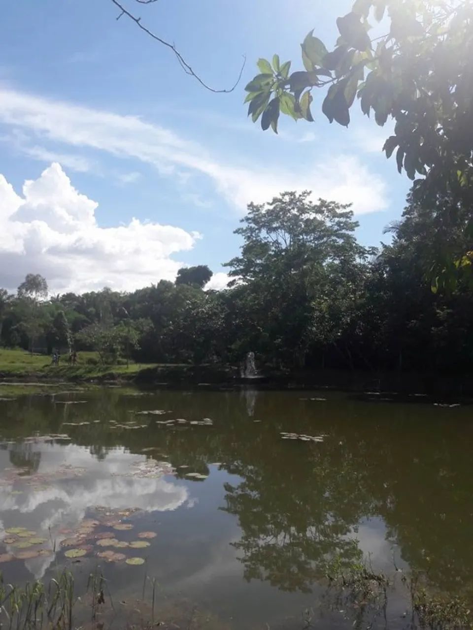 TERRENO OÁSIS OPORTUNIDADE!! - Foto 5