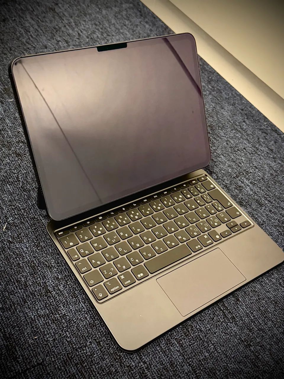 iPad Pro 11 chip M4 2T - Foto 2