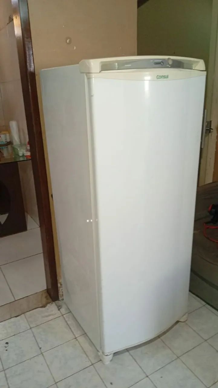 Frezzer vertical 