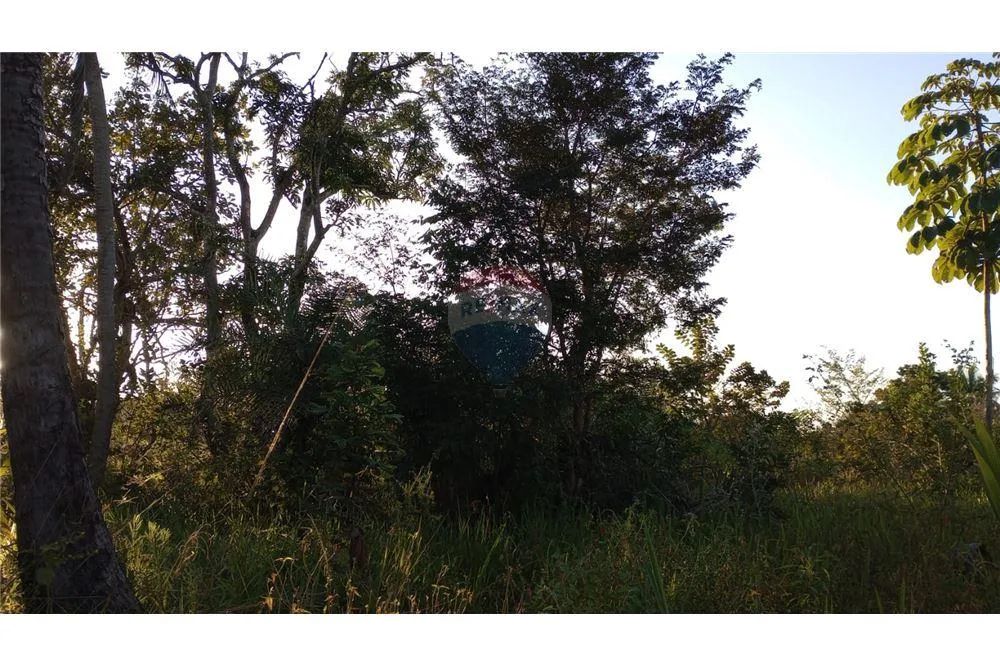 GRANDE ÁREA NO INÍCIO DA AV. LINHA VERDE (PRÓXIMA À FACULDADE ESTÁCIO) - Foto 5
