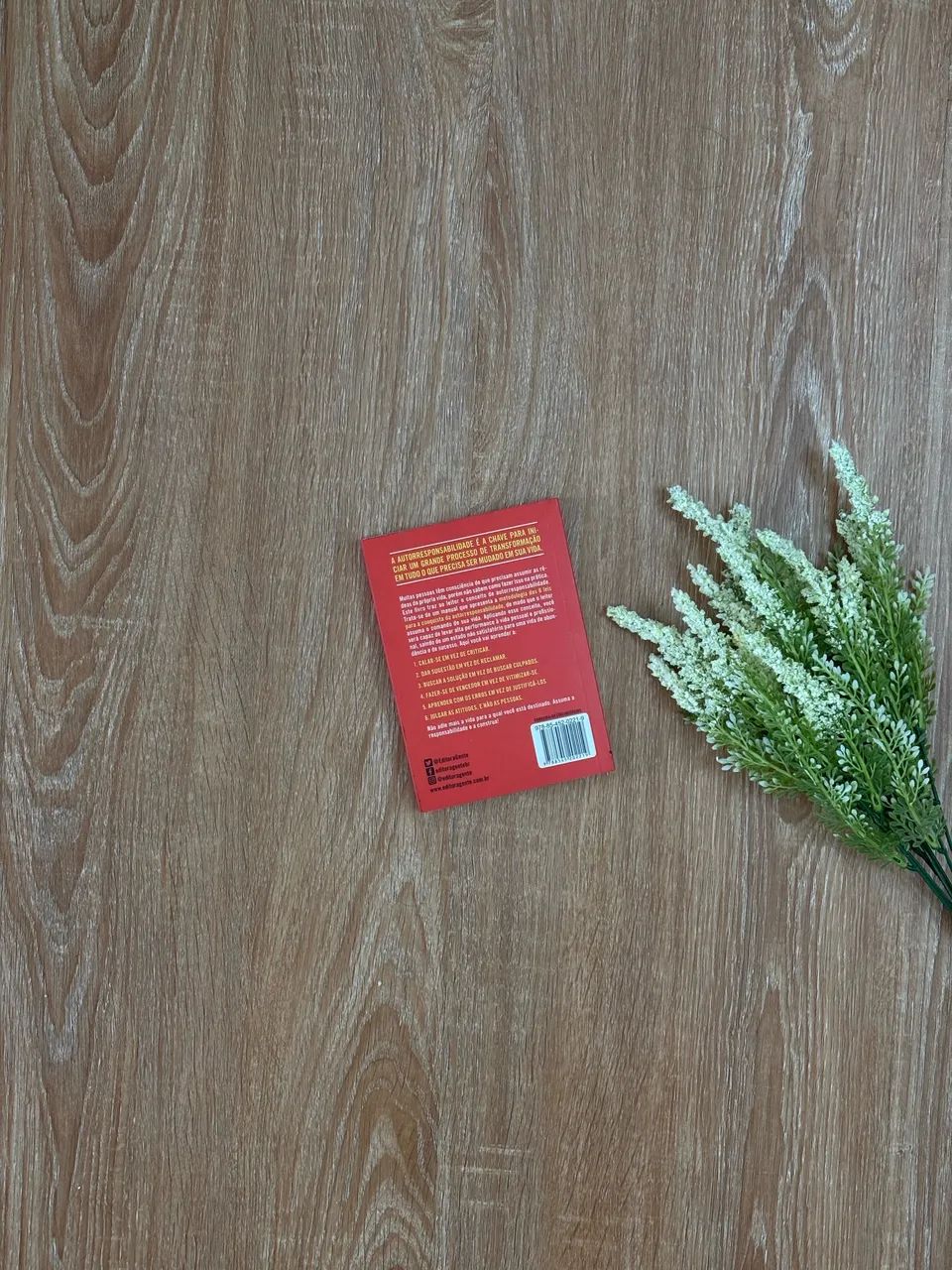 Livro de Bolso: O Poder da Autorresponsabilidade - Foto 2