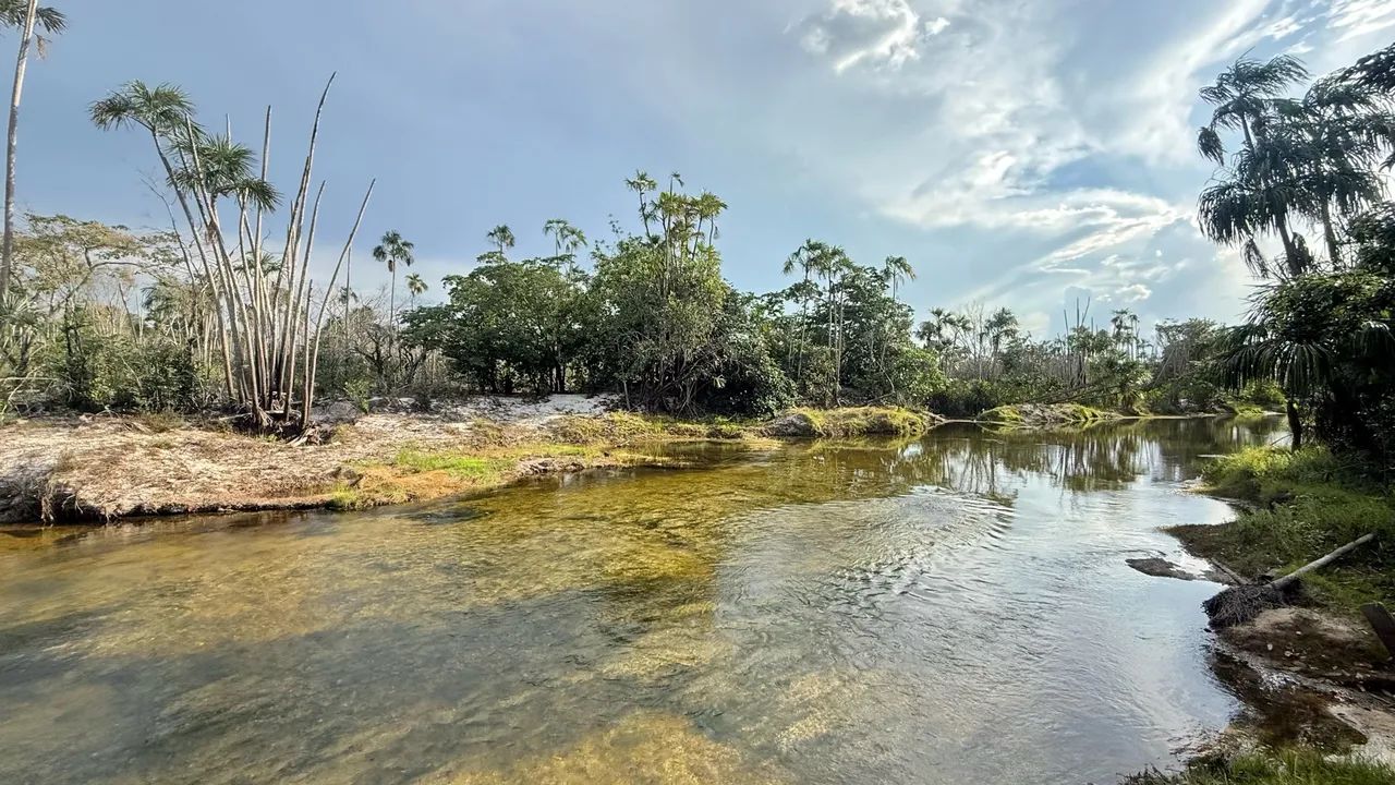 SÍTIO À VENDA EM ALTO ALEGRE - RR - Foto 2