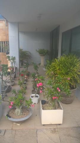 Casa no Bongí imperdível !! - Foto 19