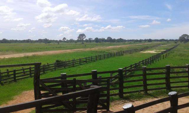 8271 | fazenda à venda em poconé mt - Foto 8