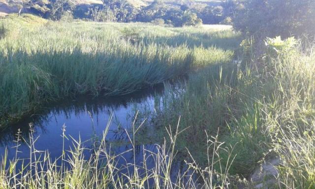 Fazenda para venda em nova viçosa, distrito de argolo - Foto 4