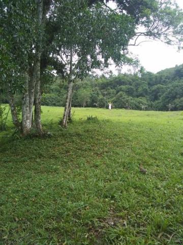 Terreno à venda em Parque veneza, Cachoeiras de macacu cod:TE0116 - Foto 12