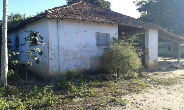 Fazenda para venda em nova viçosa, distrito de argolo - Foto 11