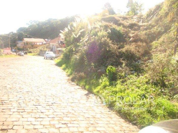 Terreno à venda em Sao roque, Porto alegre cod:10429 - Foto 7