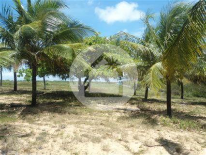 Terreno à venda em Muriú, Ceará-mirim cod:708001