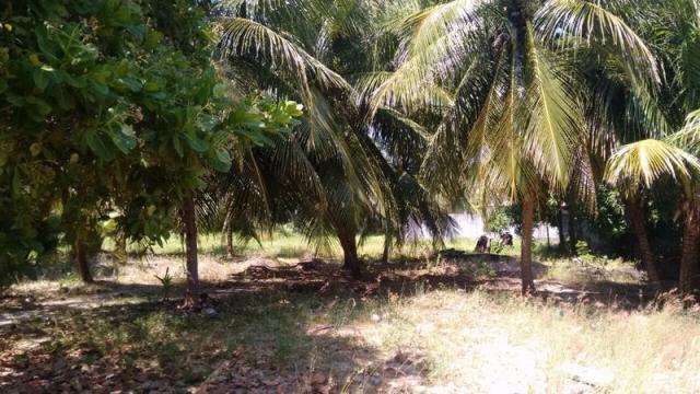 Terreno à venda em Muriú, Ceará-mirim cod:811175 - Foto 6