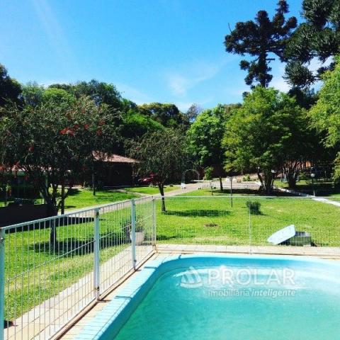 Chácara para alugar em Nossa senhora da saude, Caxias do sul cod:11005 - Foto 11