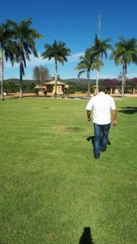 4342 Hect Em Barra Do Garça podendo virar soja.(Fazenda modelo difeênciada) - Foto 15