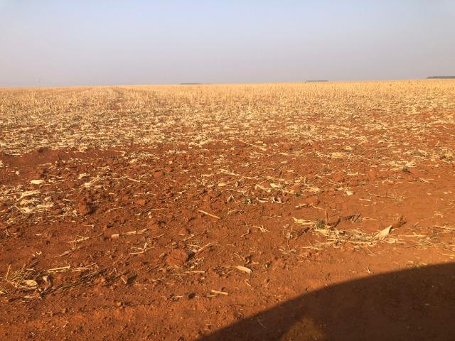 600 Hectares, plantando, soja, algodão, milho, Diamantino-MT