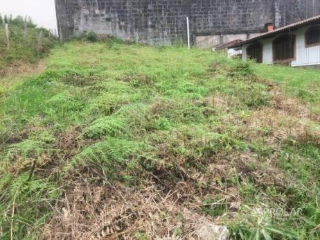 Terreno à venda em Sanvitto, Caxias do sul cod:9817 - Foto 4