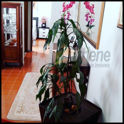 Disponível para carnaval - Foto 12