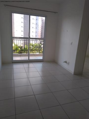 Apartamento à venda com 2 dormitórios em Morada de laranjeiras, Serra cod:AP00140 - Foto 7