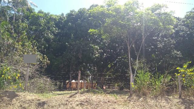 280 mil terreno com 50 x80 na Pa km 7 Castanhal- Terra Alta bom para fabrica ou galpão - Foto 7
