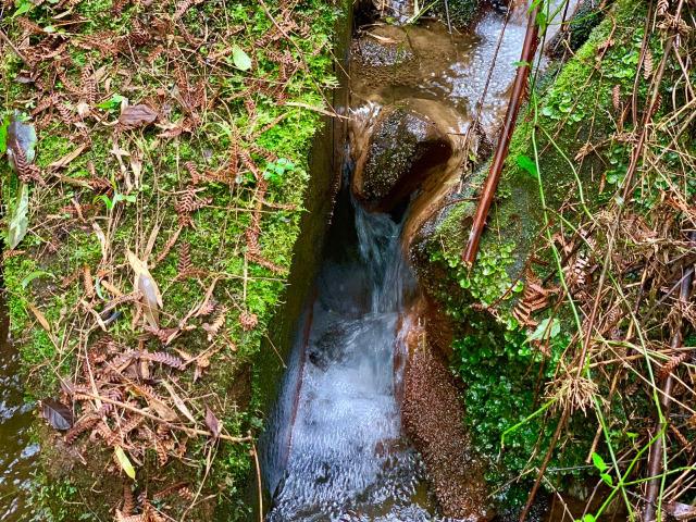 Urubici Chácaras/ sitios em Urubici/ terrenos em Urubici - Foto 12
