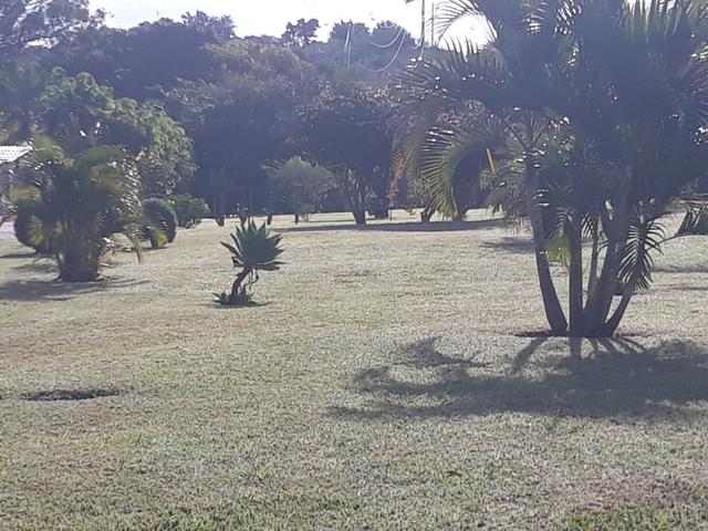 Oportunidades! lote na beira do Beira do lago - Foto 4
