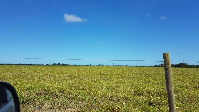 Maravilhosa Fazenda em Barrolândia, Belmonte - BA com 809 Hectares... - Foto 3