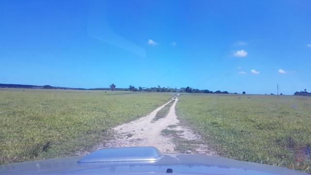 Maravilhosa Fazenda em Barrolândia, Belmonte - BA com 809 Hectares... - Foto 13