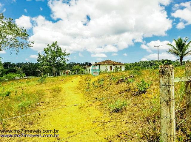 Fazenda mista de cacau e gado. Área de 203 Hectares - Foto 13