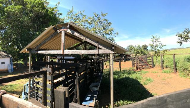 Fazenda 16.5 Alqueires ( 80 ha) Aragoiânia-GO - Foto 5