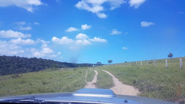 Maravilhosa Fazenda em Barrolândia, Belmonte - BA com 809 Hectares... - Foto 18