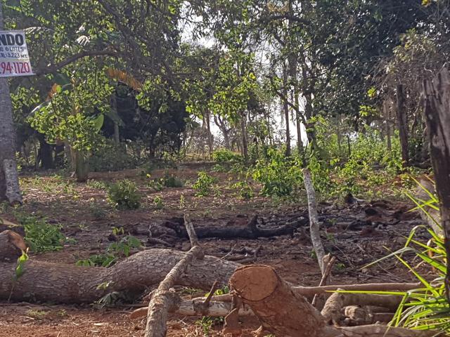 Vendo 6 lotes juntos área 3223 mts2 - Foto 3