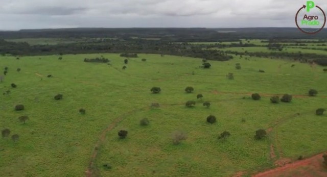 Fazenda em Goiatins. 73 mil por alqueire.