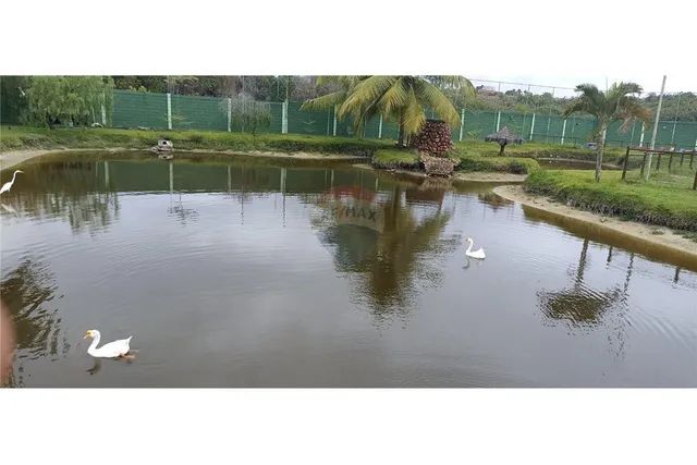 Reserva Mundo Verde - Abrantes - Foto 4