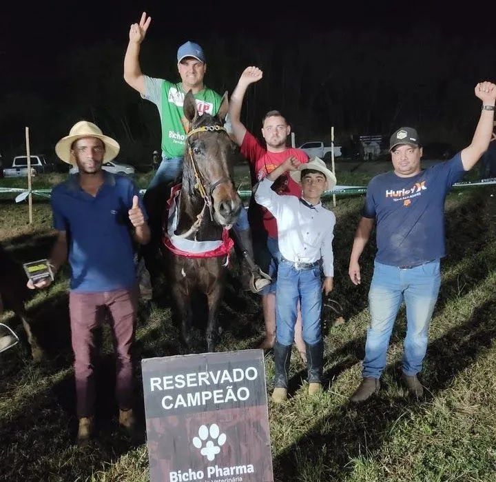 Cavalo de pista oportunidade - Foto 6