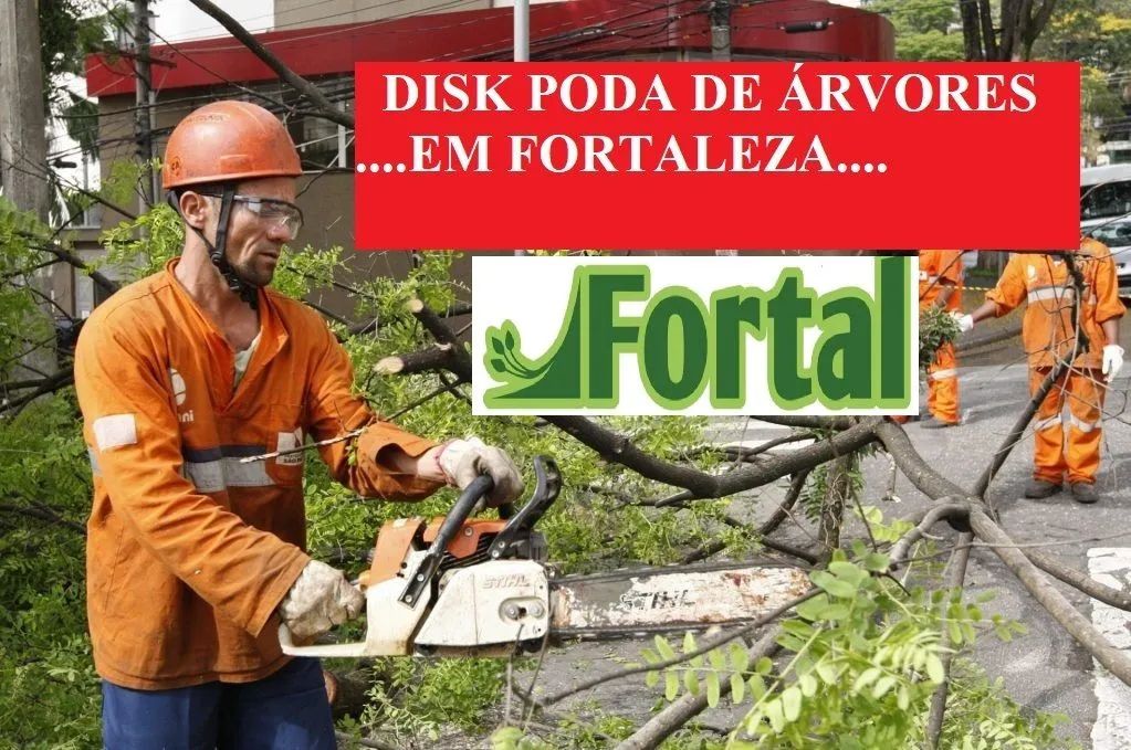 DISK PODA E CORTE DE ÁRVORES - EMPRESA CERTIFICADA, FORTAL SERVIÇOS