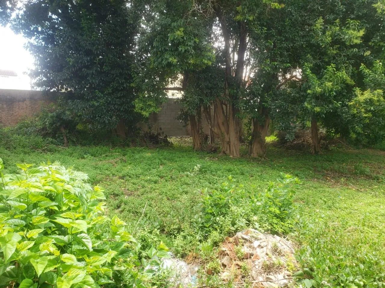 Terreno plano com 1000 metros em Presidente Altino - Foto 2