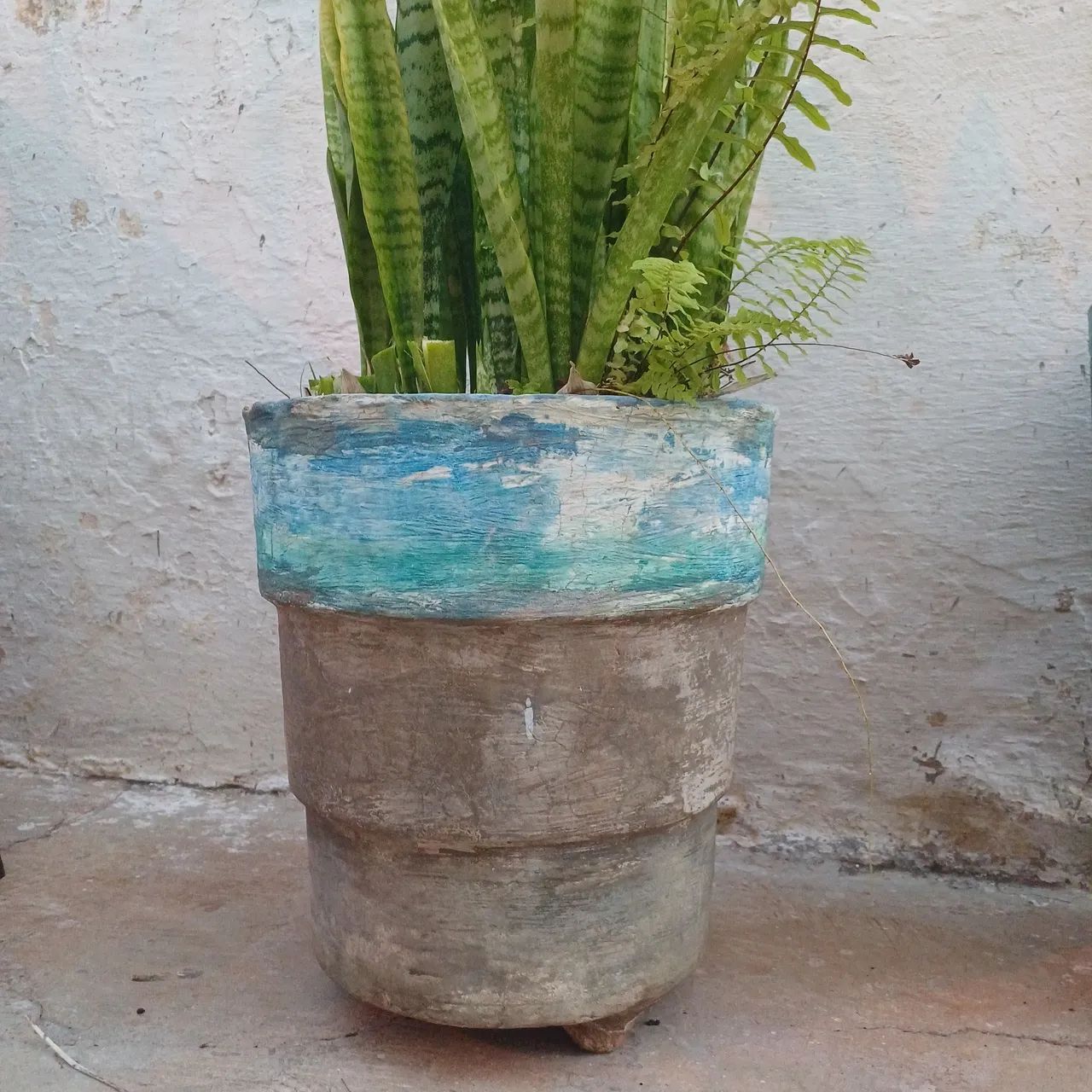 Vaso grande concreto com planta natural espadas retirar ribeirao preto sp não entrego*$50 - Foto 4