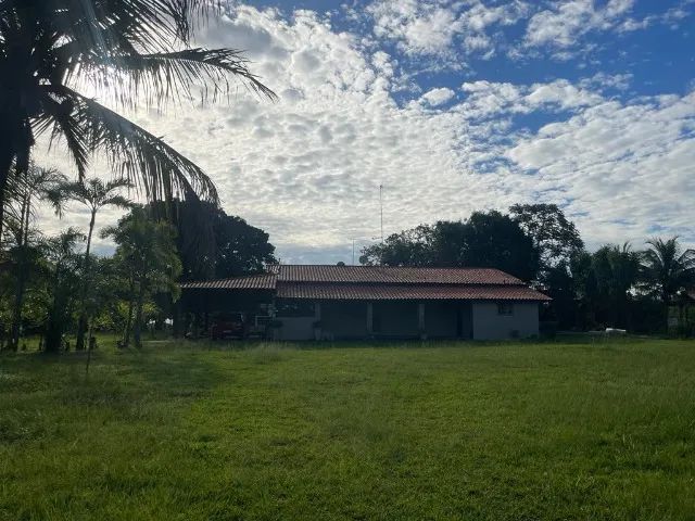 Foto - São José do Rio Preto - Centro