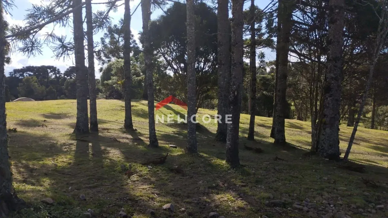 Lote em Rua Leopoldo Stahnke - São Bernardo - São Francisco de Paula/RS