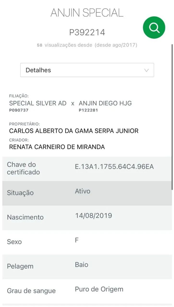 Linda Potra SPECIAL SILVER AD cobrindo DON DIEGO BARS  - Foto 3