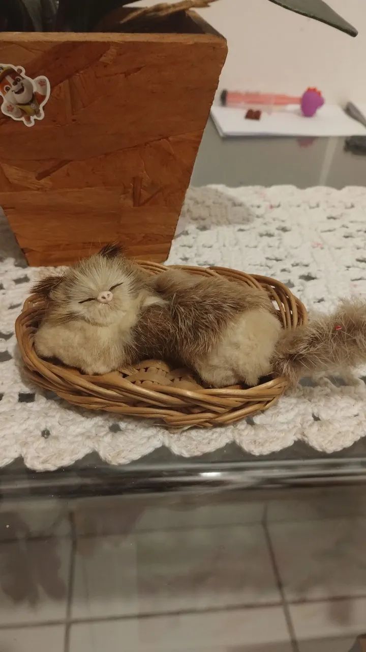Gatinho de pelúcia em miniatura 