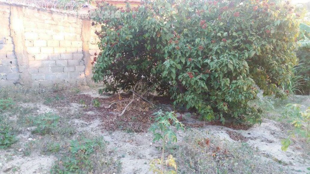 Venda Lote-Área-Terreno Ouro Preto Belo Horizonte - Foto 3