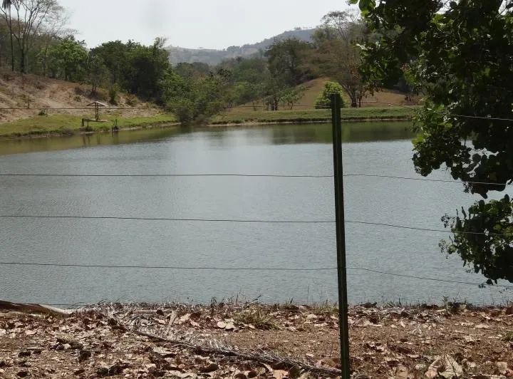 Fazenda de 246 hectares (51 alqueires) - Foto 3