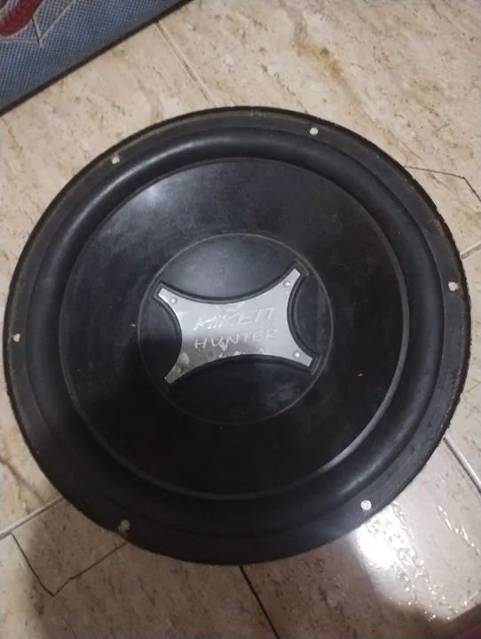 Auto falante de 12"