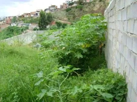 Lote à venda, Buritis - Belo Horizonte/MG - Foto 2