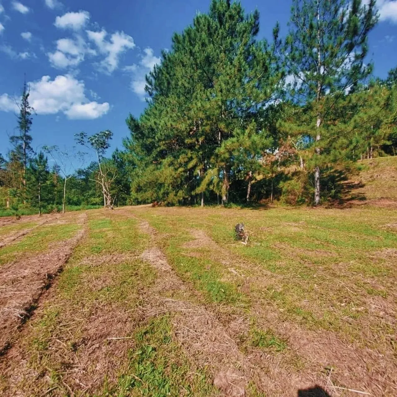 terreno para venda possui 600 metros quadrados em Recanto das Águas - Igaratá - SP