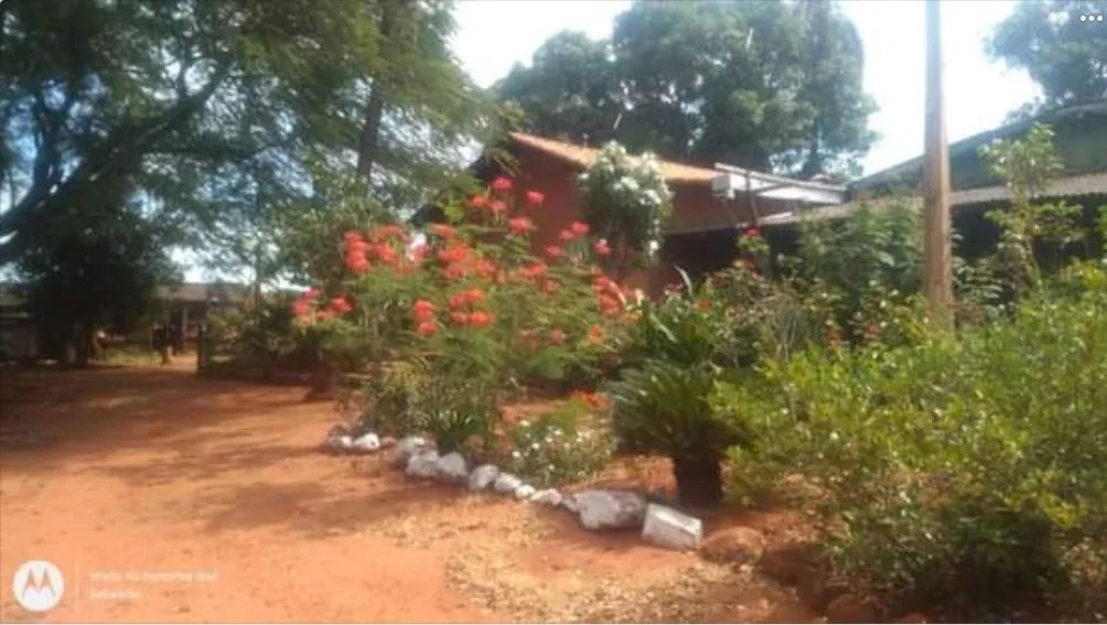 Excelente  Chácara. 33,4 hectares, município de Bandeirantes - MS - Foto 3