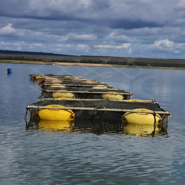 Tanque rede para criação de peixes piscicultura - Foto 3