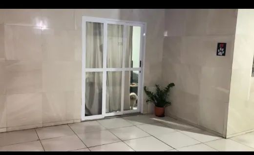 Foto - Paulista - Artur Lundgren I